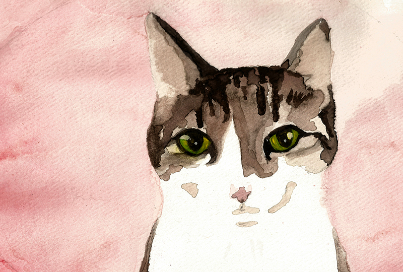 watercolor painting cat