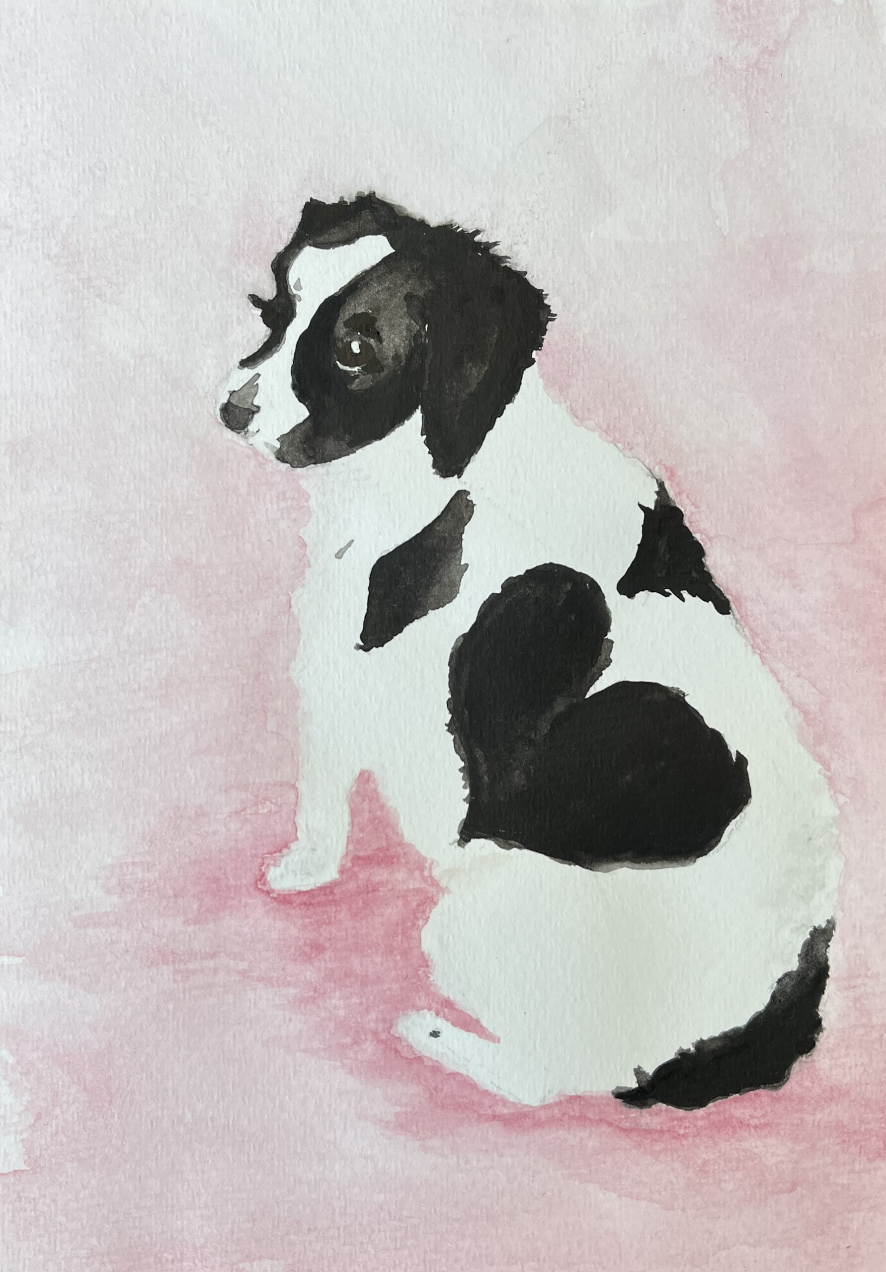 Watercolor painting spaniel
