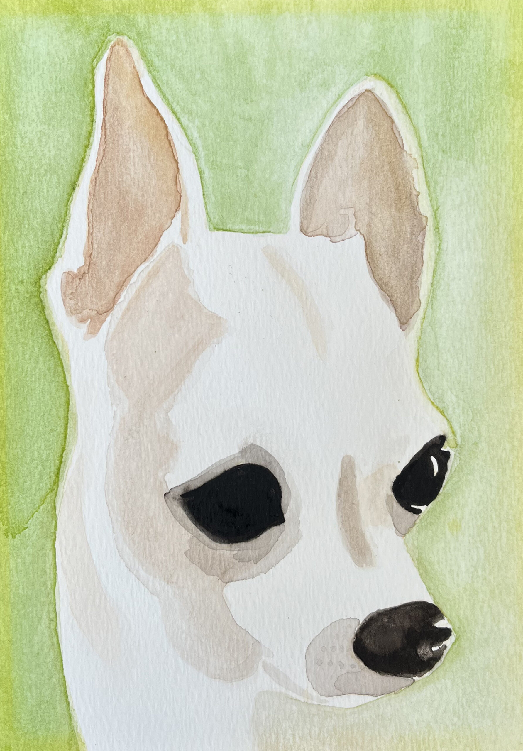Watercolor painting chihuahua